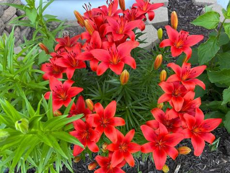 12615 S Abbey Lake Lane Detroit Lakes MN 56501