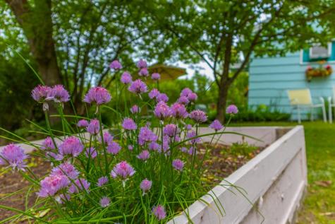 3474 Duluth Street Ranier MN 56668