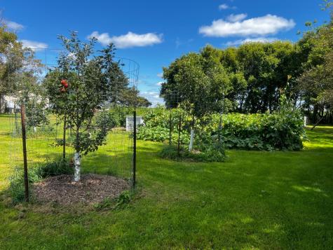 8020 80th Street NW Milan MN 56262