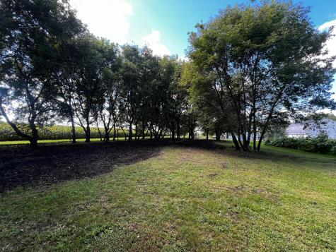 8020 80th Street NW Milan MN 56262