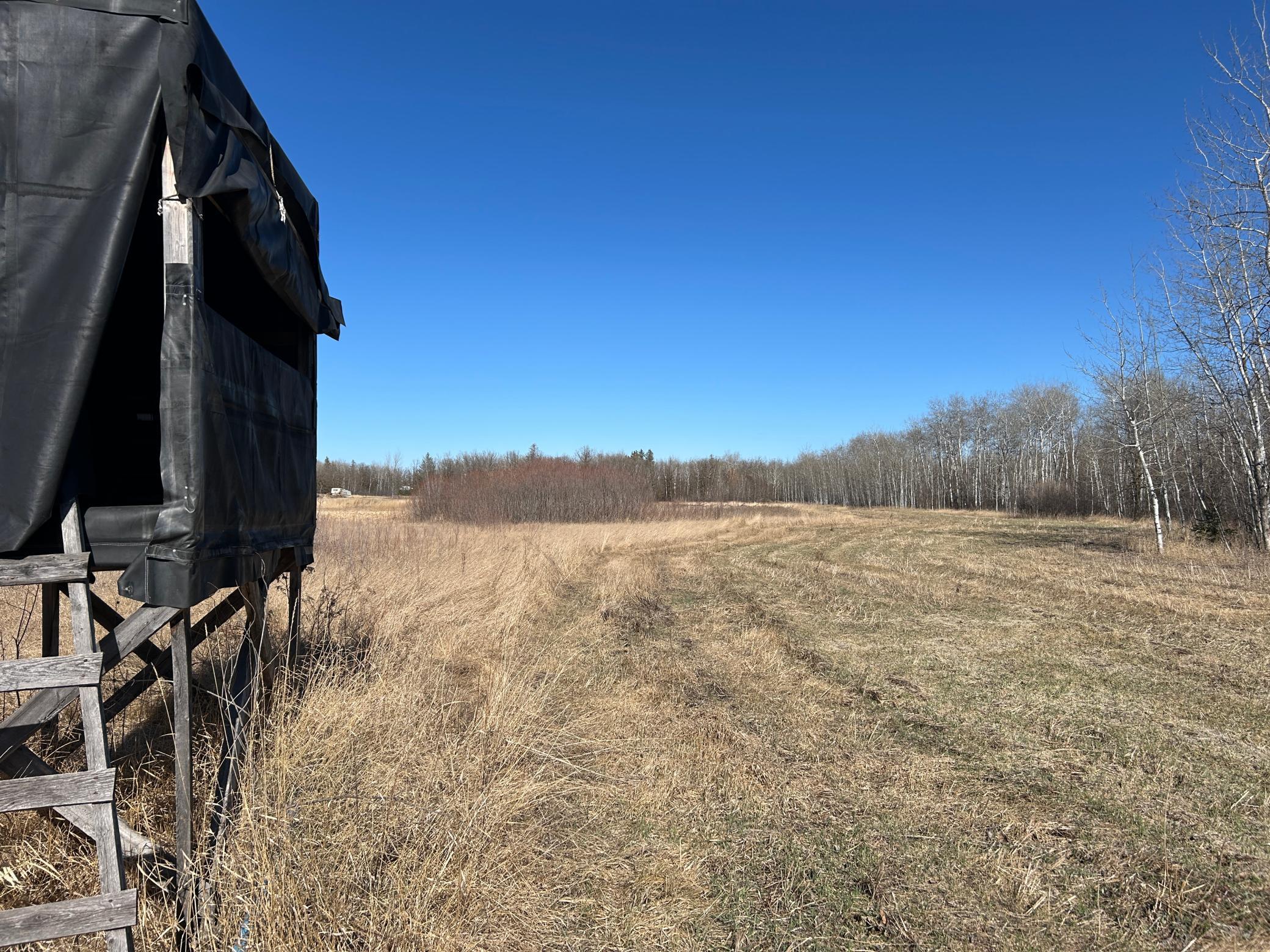 26268 State Highway 11 Badger MN 56714