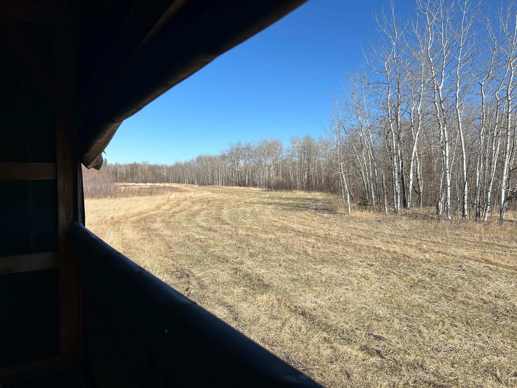 26268 State Highway 11 Badger MN 56714