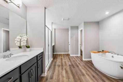 145 Maple Terrace Waconia MN 55387