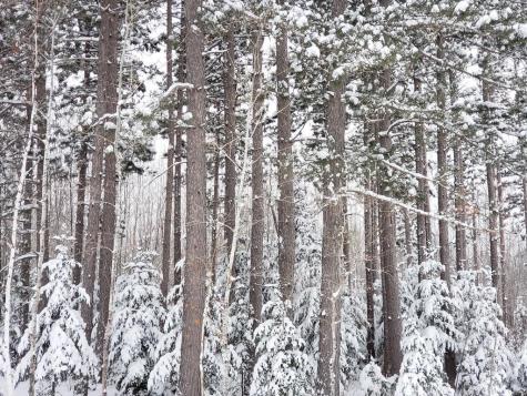 232 Scenic Estates Drive Bigfork MN 56628