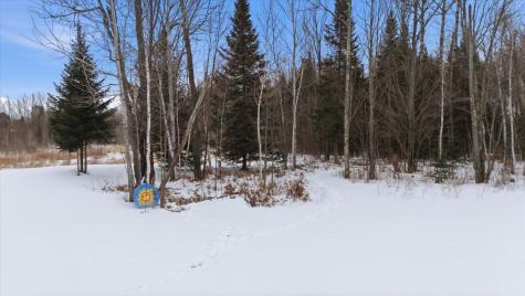 232 Scenic Estates Drive Bigfork MN 56628