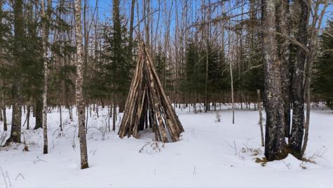 232 Scenic Estates Drive Bigfork MN 56628