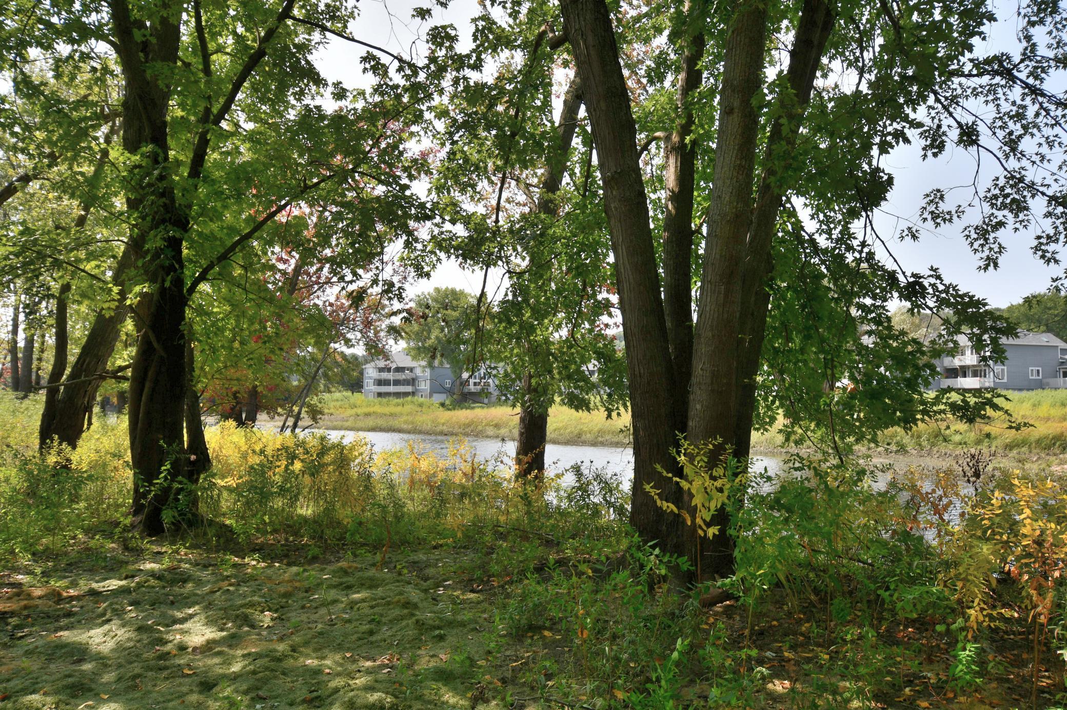 530 Lakeside Bay Drive S Bayport MN 55003