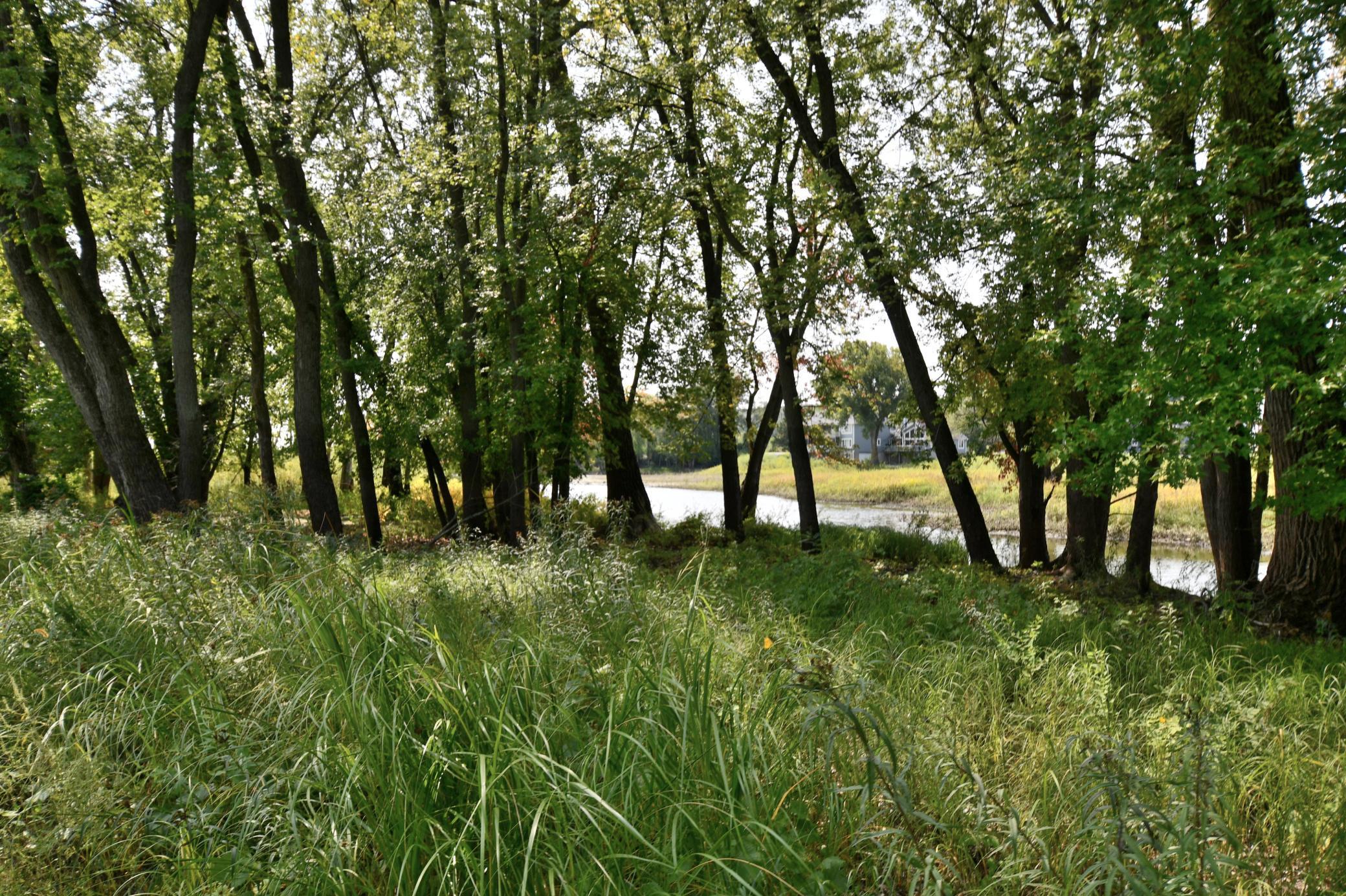 530 Lakeside Bay Drive S Bayport MN 55003