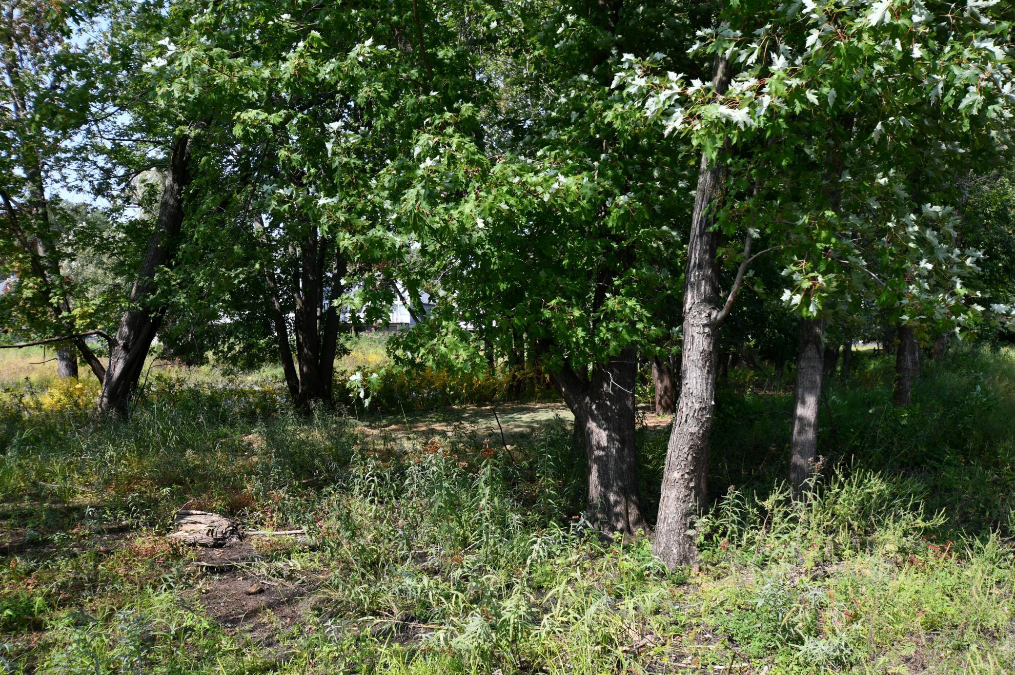 530 Lakeside Bay Drive S Bayport MN 55003