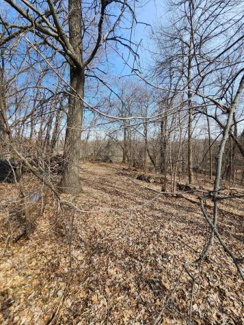 21391 Rum River Drive Oak Grove MN 55303