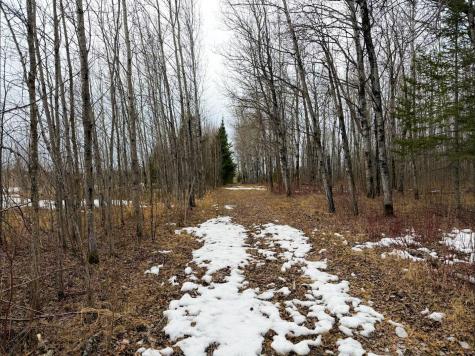 28465 Highway 71 NE Blackduck MN 56630