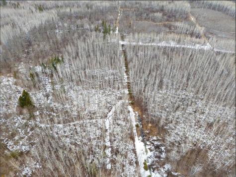 28465 Highway 71 NE Blackduck MN 56630