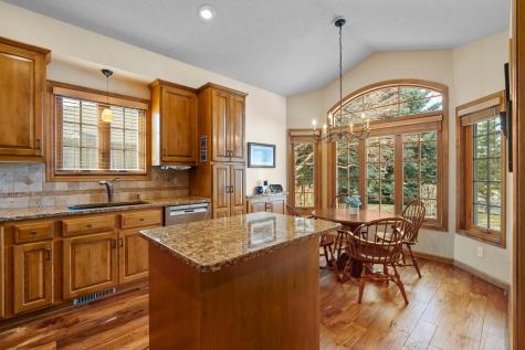 14207 41st Avenue N Plymouth MN 55446