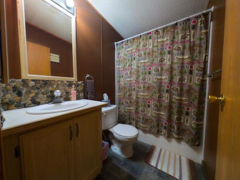 32141 Brightwood Shore Drive Dent MN 56528