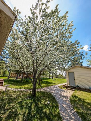 32141 Brightwood Shore Drive Dent MN 56528