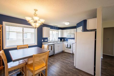 445 Tanager Path Mankato MN 56001
