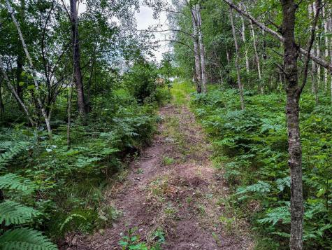 21348 Quint Circle Hillman MN 56338