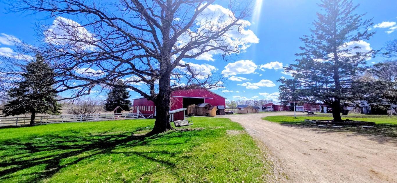 33293 115th Avenue Eagle Bend MN 56446