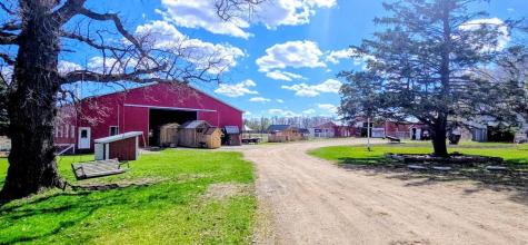33293 115th Avenue Eagle Bend MN 56446