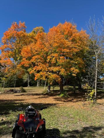 13276 Donnie Jay Lane Detroit Lakes MN 56501