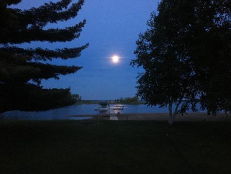 11485 Hamilton Trail Pequot Lakes MN 56472