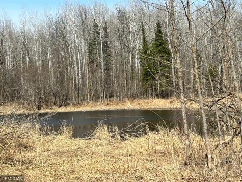 22841 Hwy 71 NE Hines MN 56647