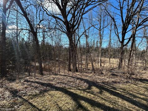 22841 Hwy 71 NE Hines MN 56647