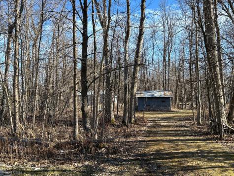 22841 Hwy 71 NE Hines MN 56647