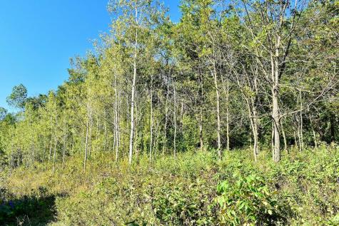 24242 Pfeiffer Hill Road Winona MN 55987