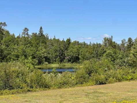 1383 Kelly Trail Isabella MN 55607