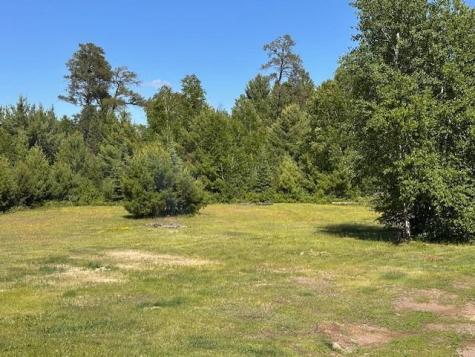 1383 Kelly Trail Isabella MN 55607