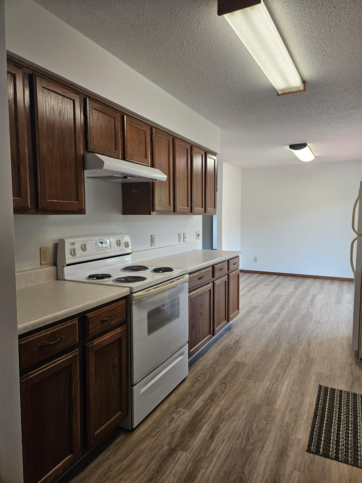 509 1st Street Bellingham MN 56212