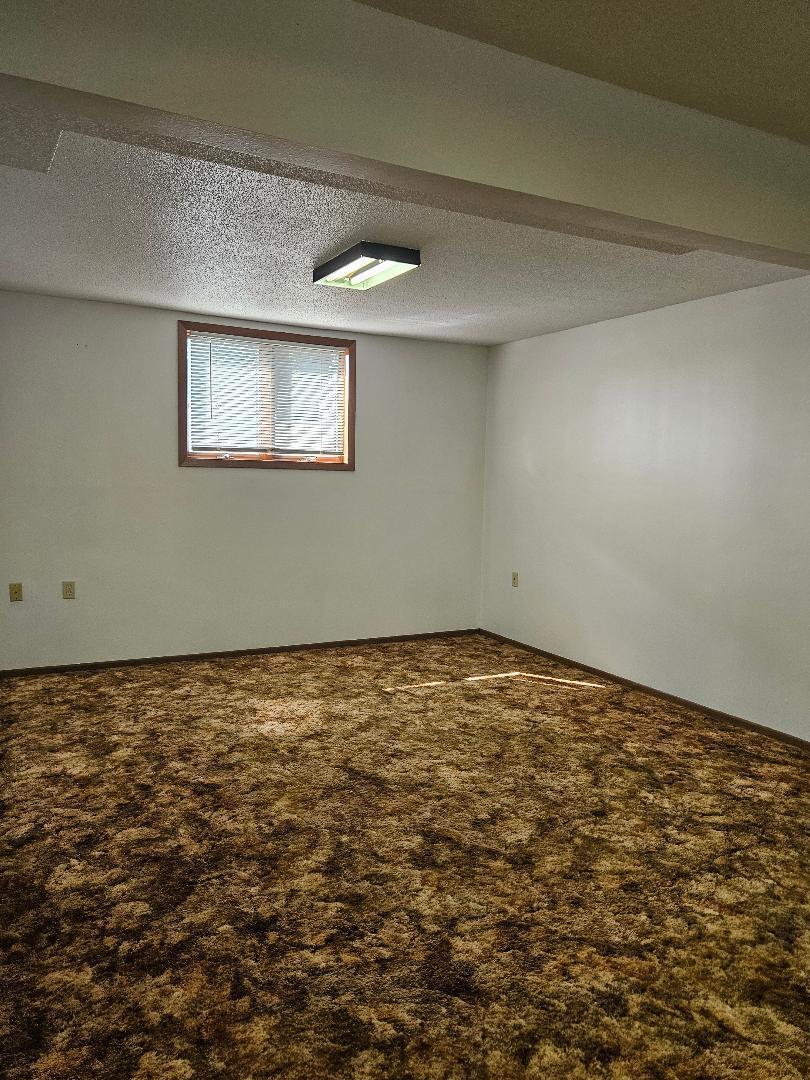 509 1st Street Bellingham MN 56212