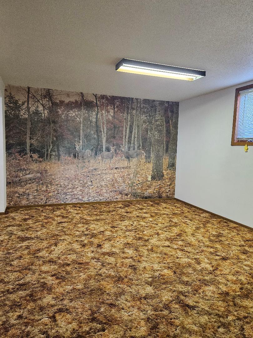 509 1st Street Bellingham MN 56212