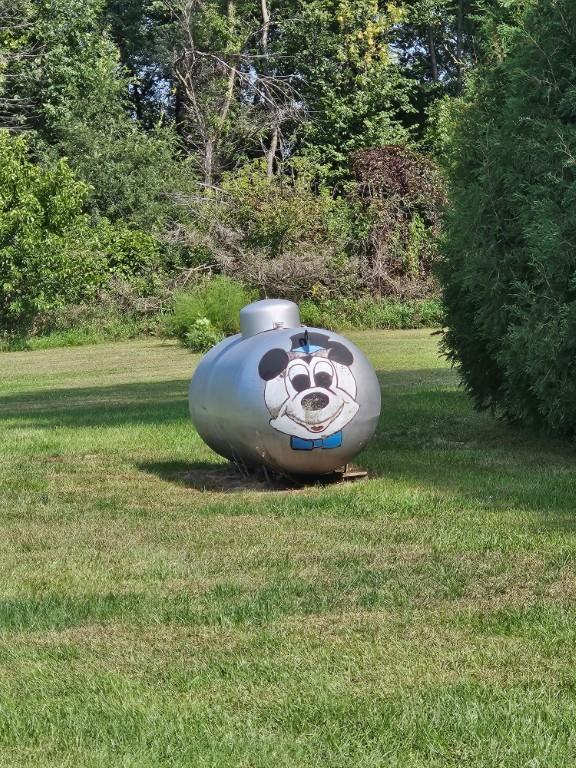 509 1st Street Bellingham MN 56212