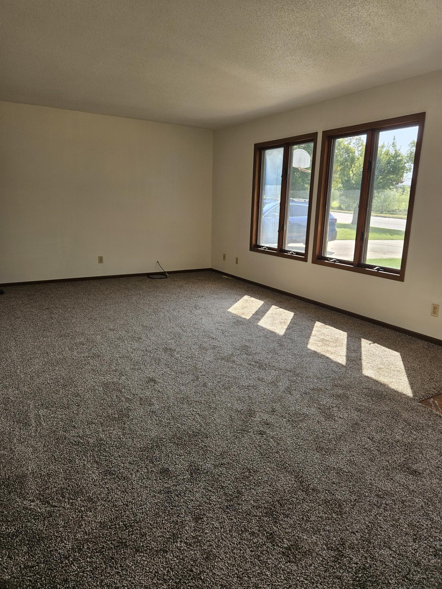 509 1st Street Bellingham MN 56212