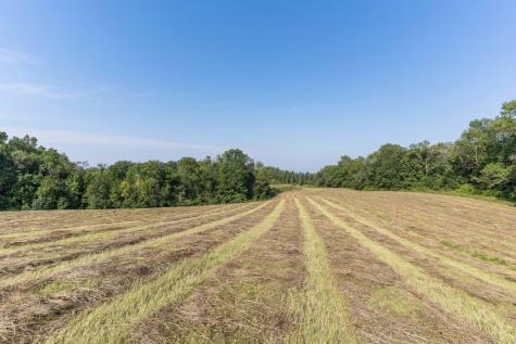 25838 230th Avenue Fergus Falls MN 56537