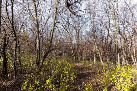 25838 230th Avenue Fergus Falls MN 56537