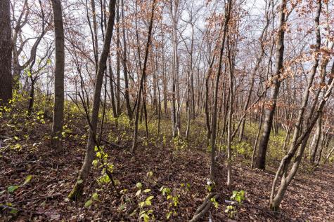 25838 230th Avenue Fergus Falls MN 56537