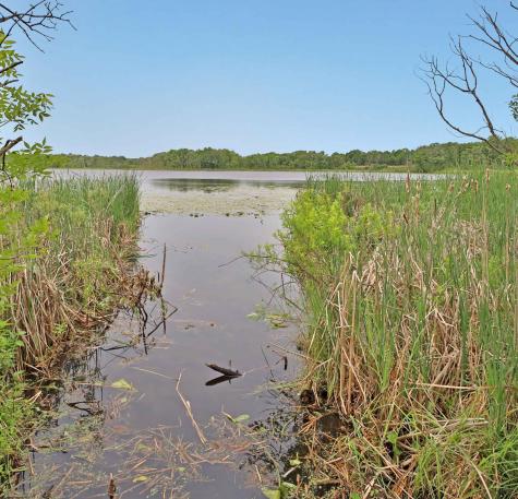 24005 County Road 111 Aitkin MN 56431