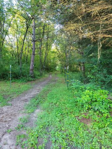 8788 288th Lane NE North Branch MN 55056
