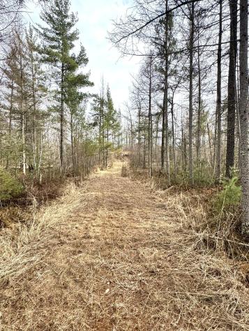 24996 Horseshoe Road Akeley MN 56433