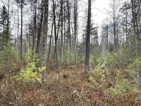 24996 Horseshoe Road Akeley MN 56433