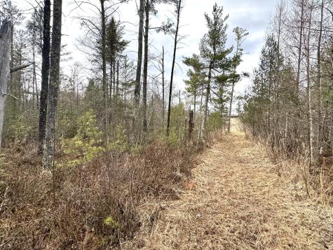 24996 Horseshoe Road Akeley MN 56433