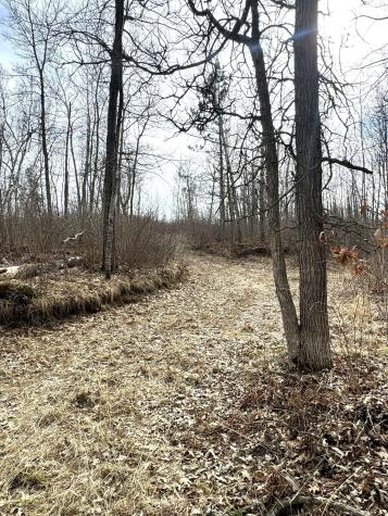 24996 Horseshoe Road Akeley MN 56433