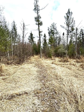 24996 Horseshoe Road Akeley MN 56433