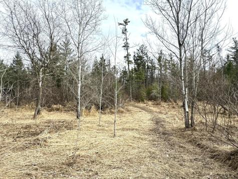 24996 Horseshoe Road Akeley MN 56433