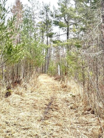 24996 Horseshoe Road Akeley MN 56433