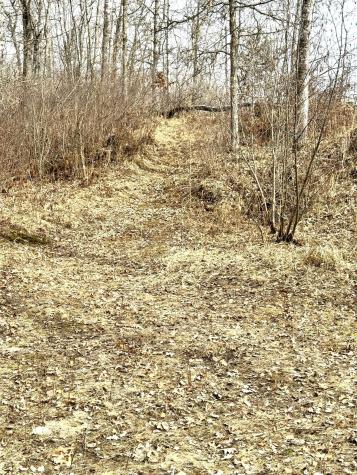 24996 Horseshoe Road Akeley MN 56433