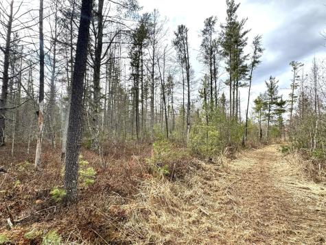 24996 Horseshoe Road Akeley MN 56433